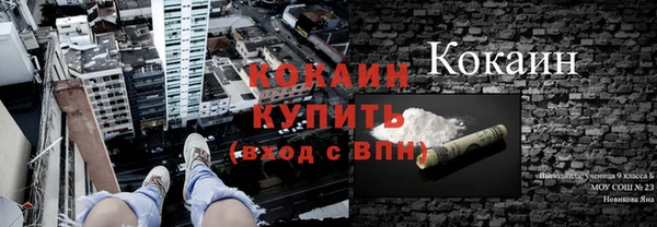 гашик Россошь