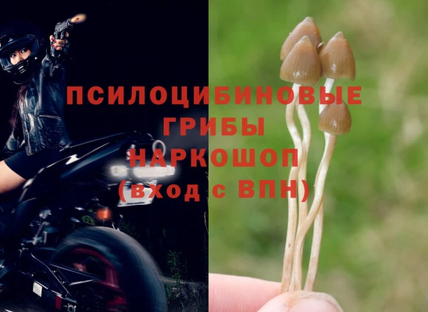 ALPHA-PVP Арсеньев