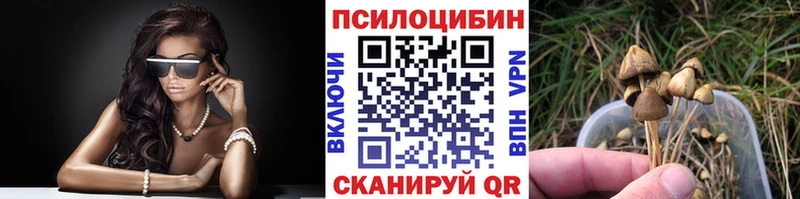 Псилоцибиновые грибы MAGIC MUSHROOMS  Цивильск 